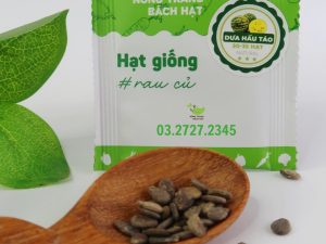 hạt giống bắp cải mini, bắp cải mini, hạt giống tự nhiên